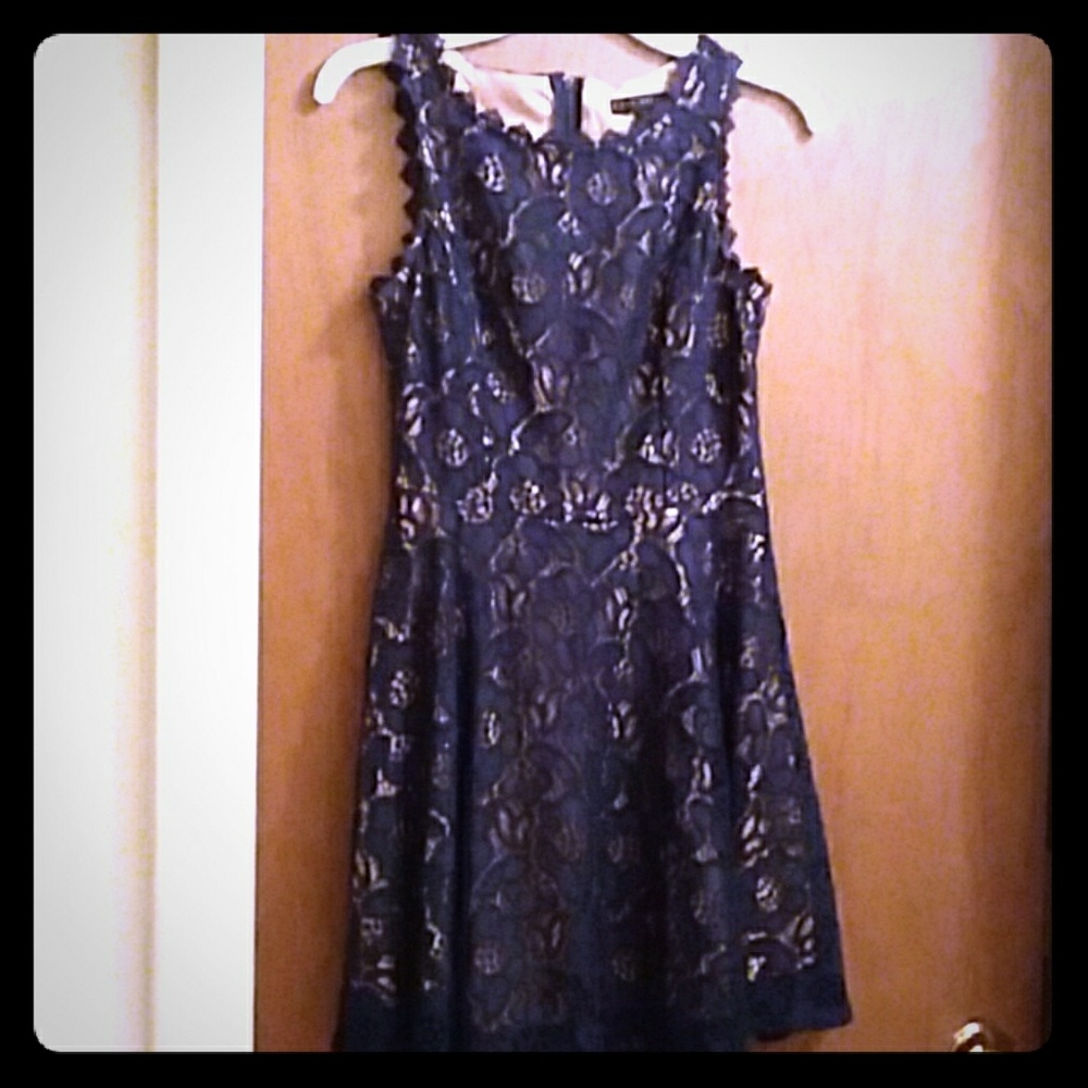 City Studio gorgeous tan and Navy lace dress